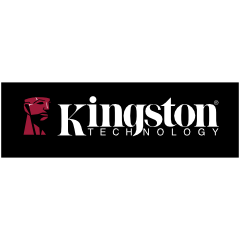 Kingston Technology Partner